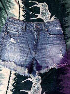 Distressed Frayed Hem Women's Denim Shorts - Blue